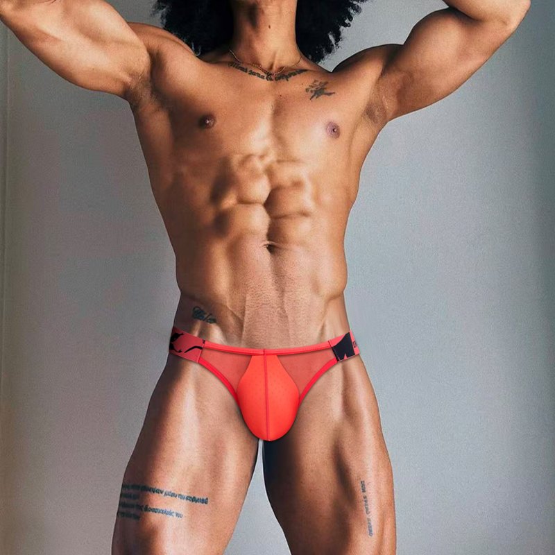 OR6402 — Sheer Nylon Brief — supplier photograph