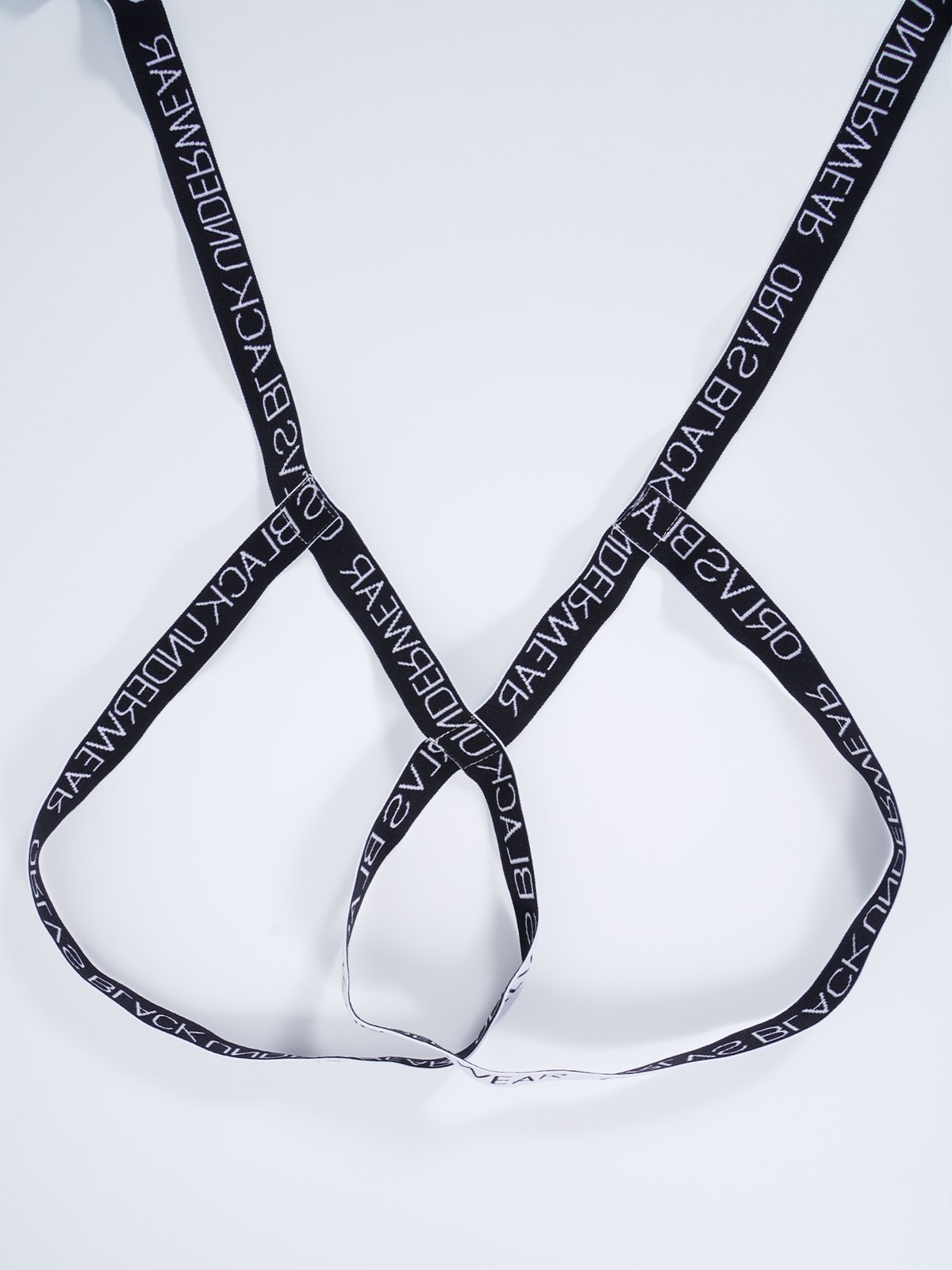 OR653 — Strap Body Harness — supplier photograph